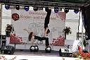 Bild 48