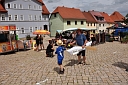 Bild 19