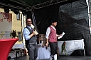 Bild 52